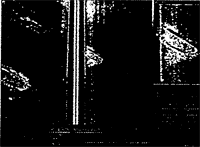 082-4.gif