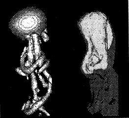 006-2.gif