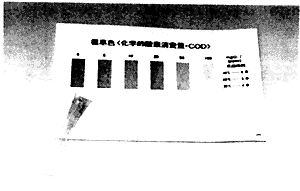 098-3.gif