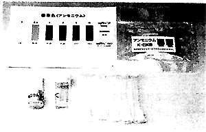 098-4.gif