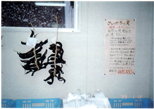 161-1.jpg