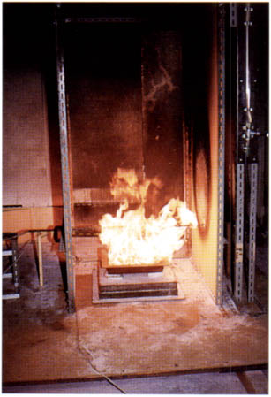 015-2.jpg
