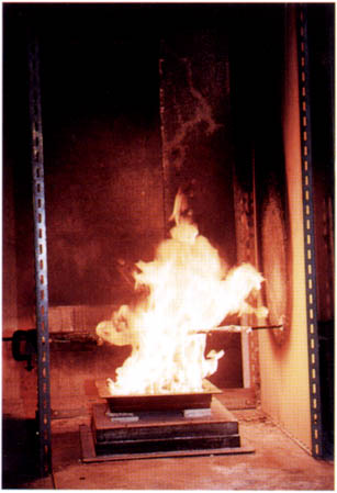 016-2.jpg