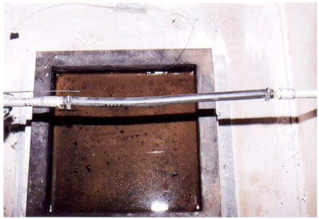 019-1.jpg