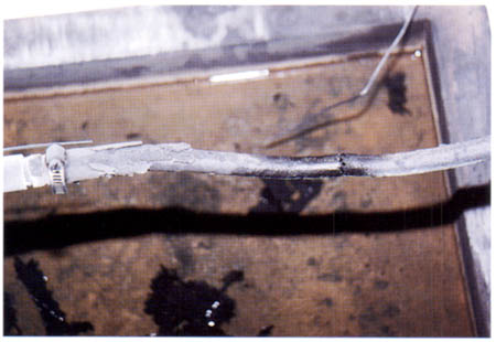 019-3.jpg