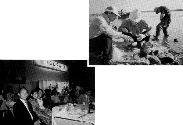 004-3.gif