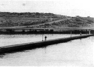 007-8.jpg