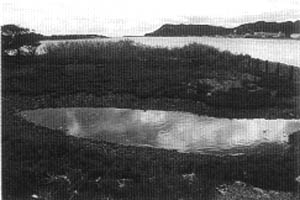 012-4.jpg