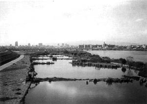 016-2.jpg