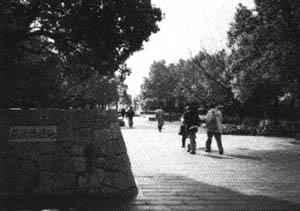 019-1.jpg