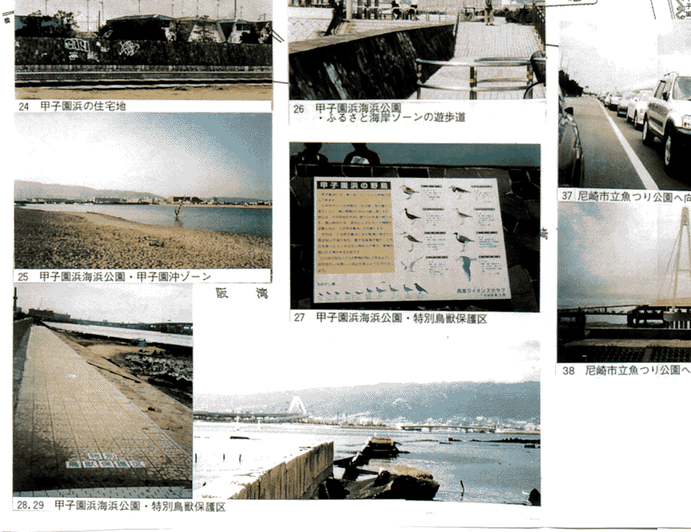 009-3-1.gif