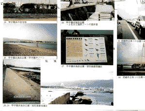 009-3.gif