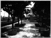 039-2.gif