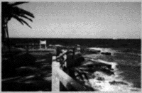 039-3.gif