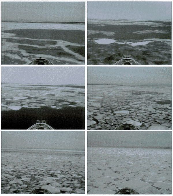 029-1.gif
