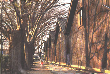 006-3.jpg