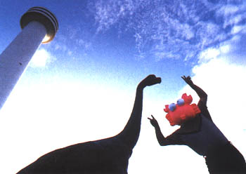 006-6.jpg