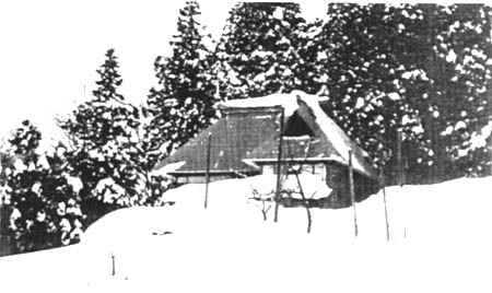 081-2.jpg