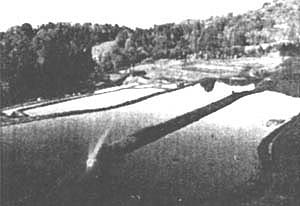 091-4.jpg