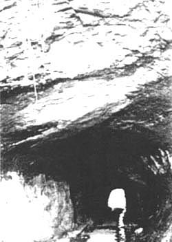 091-5.jpg