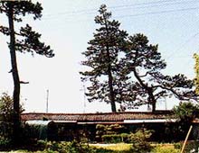 002-2.jpg