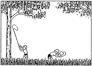 019-2.gif