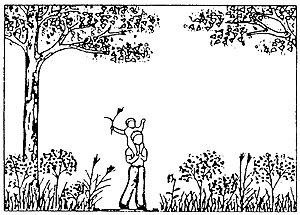 019-3.gif