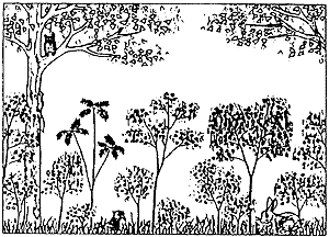 019-6.gif