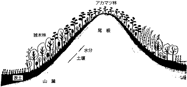 022-1.gif