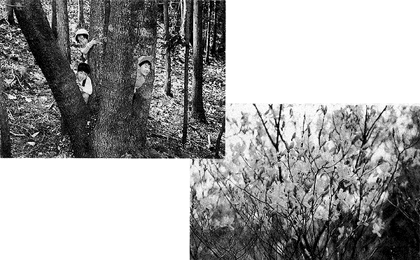 023-1.gif
