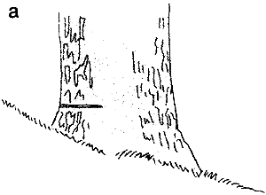 067-2.gif