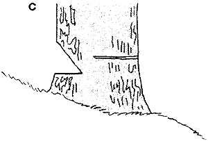 067-4.gif