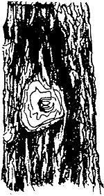 070-2.gif