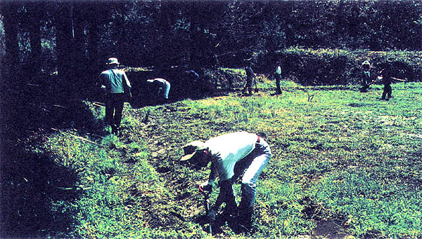041-1.jpg