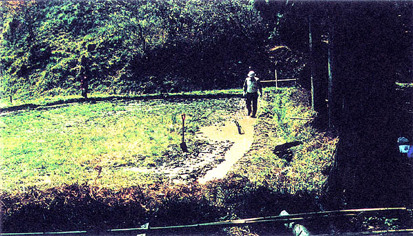 041-2.jpg