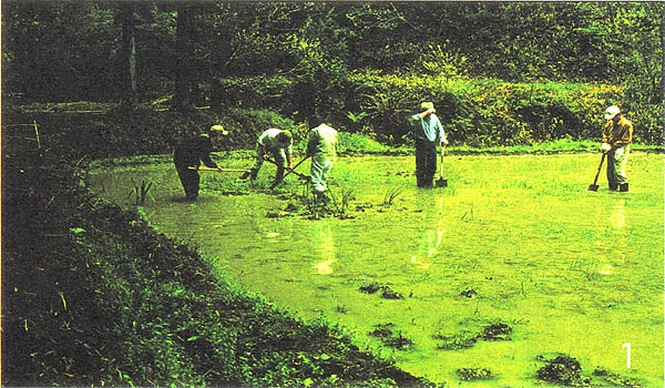 042-1.jpg