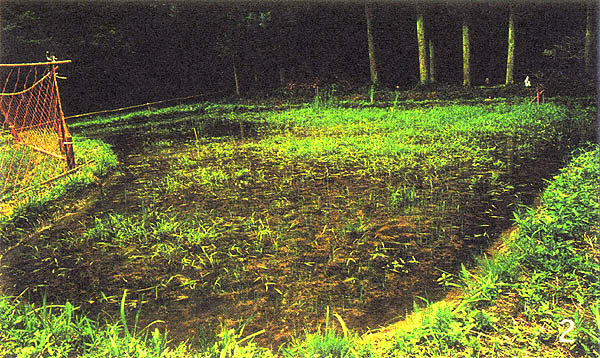 042-2.jpg