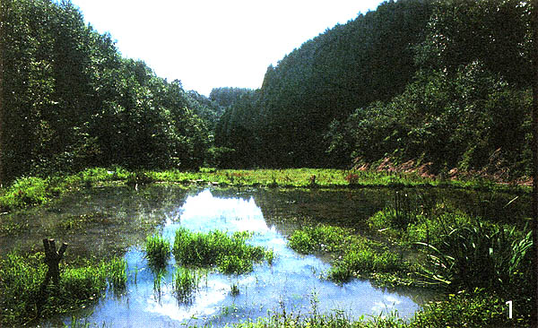 043-1.jpg