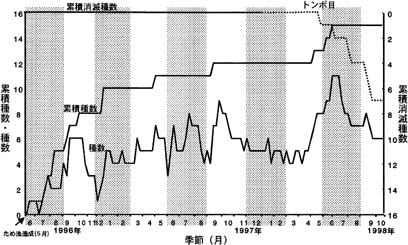056-1.gif