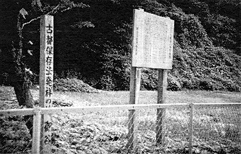 012-1.gif