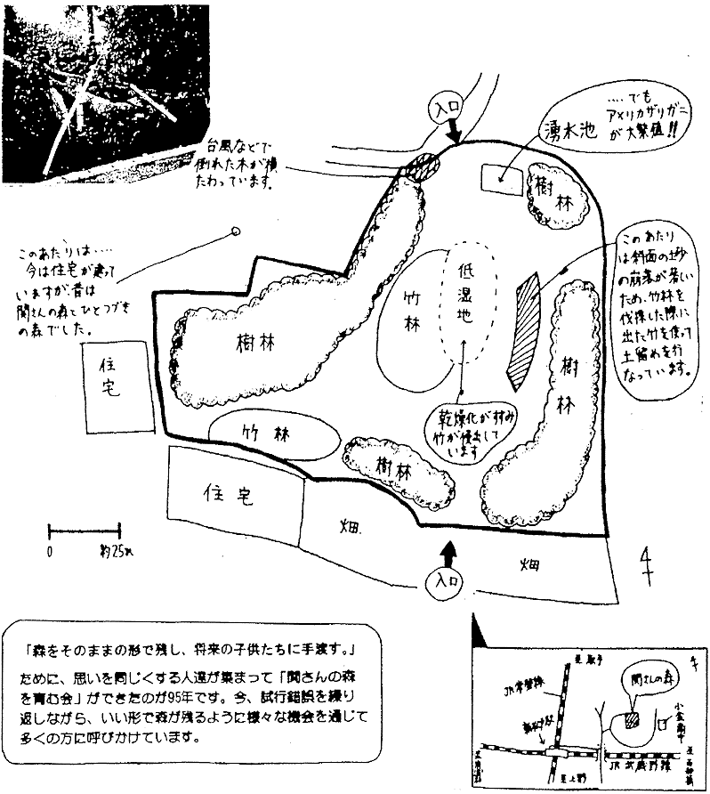 034-1.gif