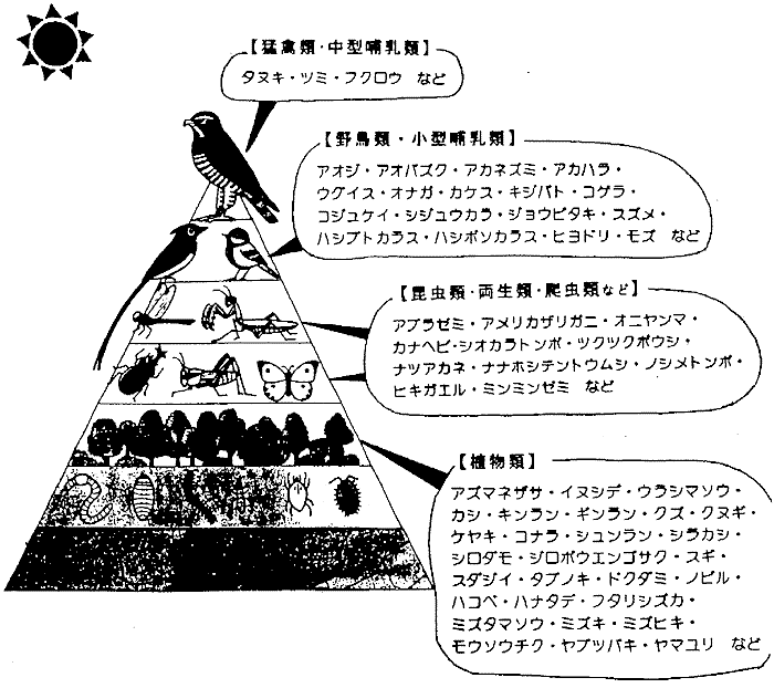 034-2.gif