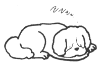 031-2.gif