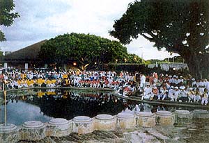 040-5.jpg
