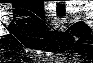 023-2.gif