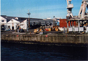 027-2.jpg