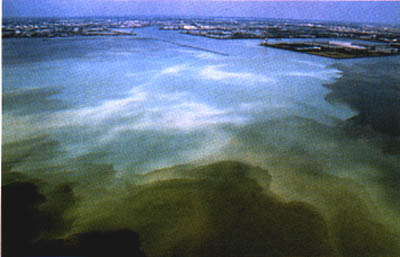 002-4.jpg