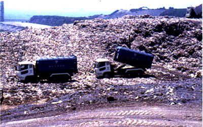 012-1.jpg