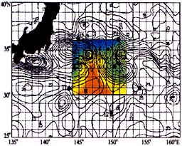 181-2.jpg