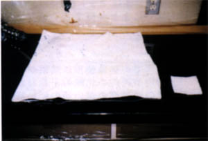 050-3.jpg